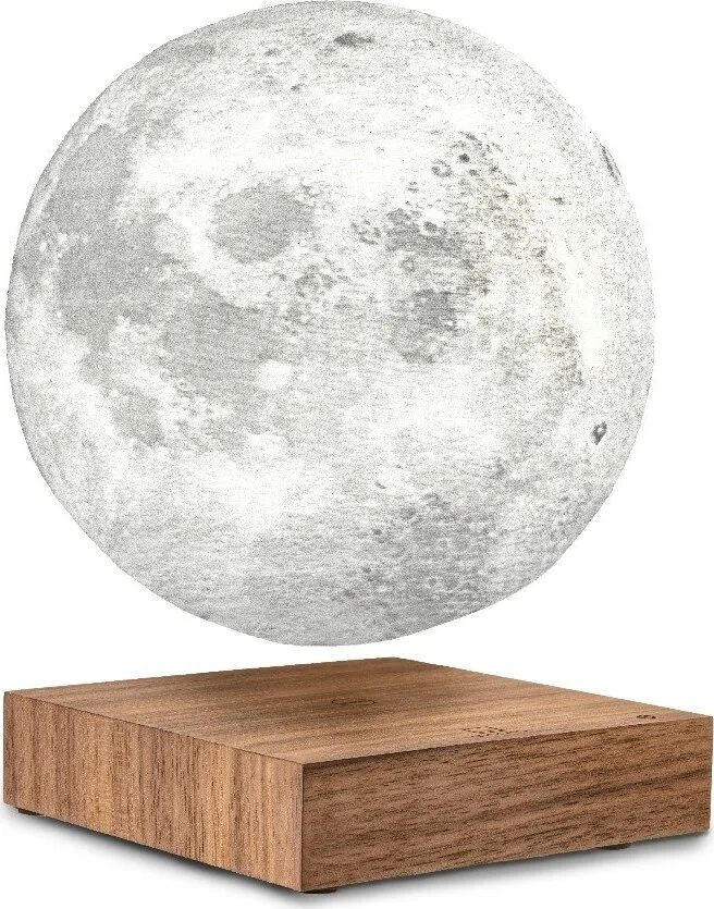 Hnědá světelná dekorace do zásuvky ø 12 cm Moon – Gingko